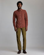 L/S YELLOWHAMMER- CINNAMON